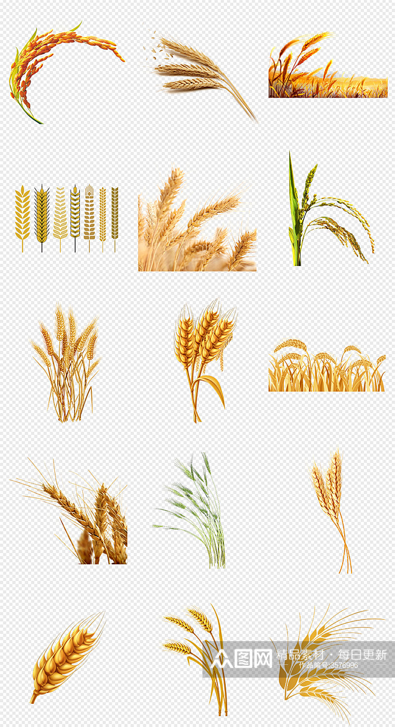 麦穗水稻小麦大米金色麦穗PNG素材素材