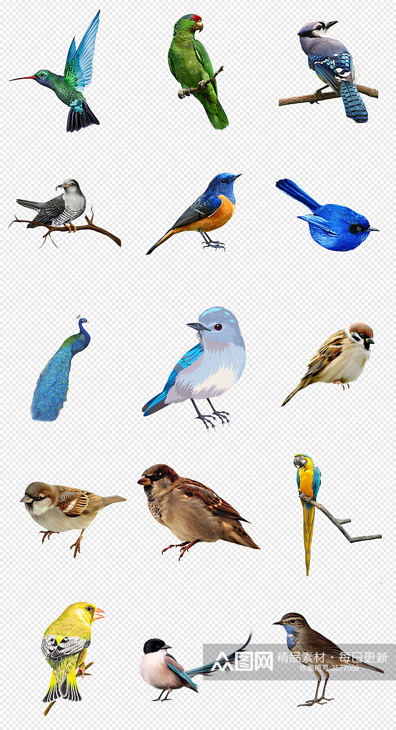 小鸟麻雀动物PNG免抠素材素材