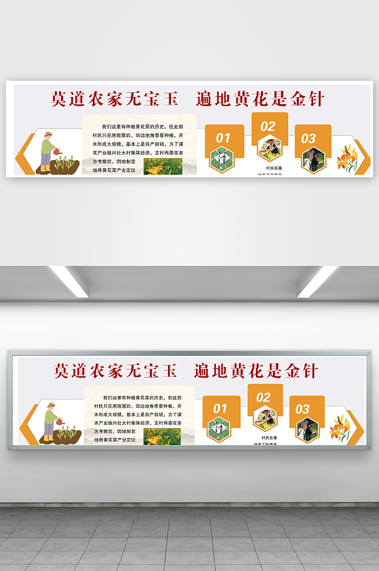 有机农家菜黄花菜展板