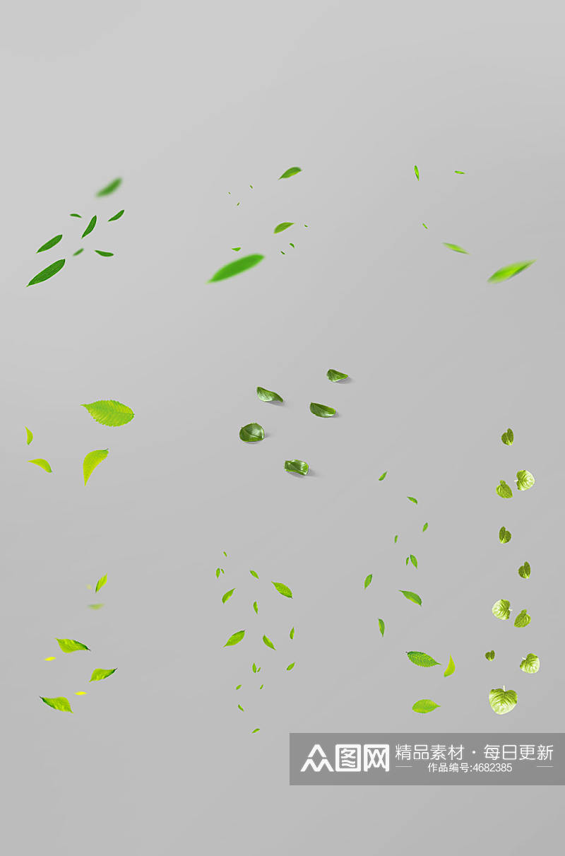 漂浮树叶前景夏天植物绿植绿叶子免抠元素素材