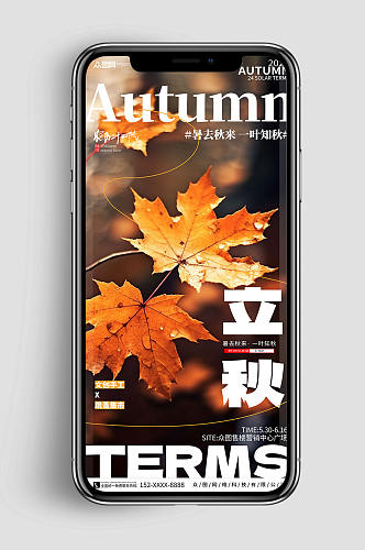 简约二十四节气立秋秋季活动氛围系列海报