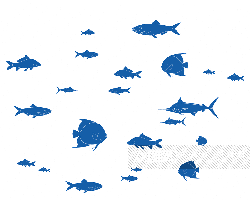 湖里海洋蓝色游动渐变鱼群免抠图素材