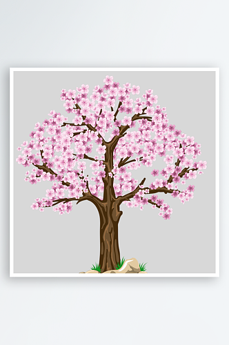 春天粉色樱花树花瓣花朵