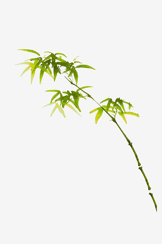 绿色竹子水墨竹叶竹节免扣图