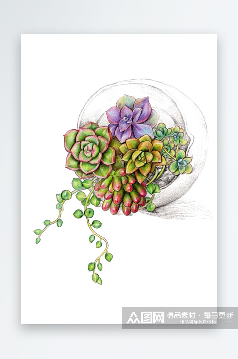 手绘卡通水彩多肉植物仙人掌盆栽免抠图素材