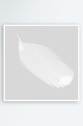 卡通白色唯美天使翅膀白色羽毛免抠素材
