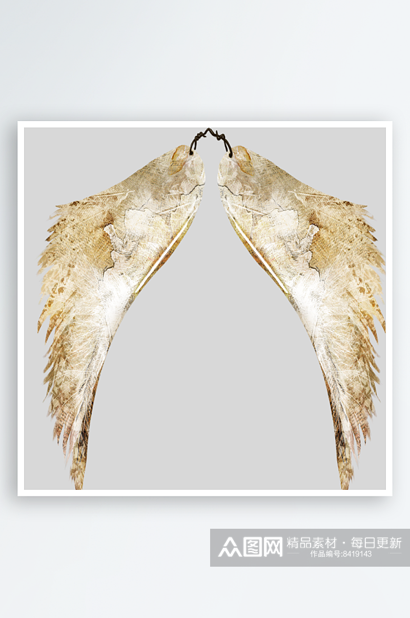 白色唯美天使翅膀白色羽毛免抠素材素材