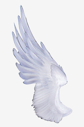卡通白色唯美天使翅膀白色羽毛免抠素材
