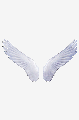 白色唯美天使翅膀白色羽毛免抠素材