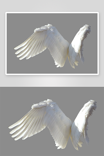 唯美天使翅膀白色羽毛免抠素材