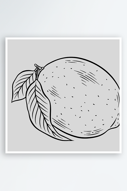 酒吧鸡尾酒洋酒手绘水果黑白线稿插画