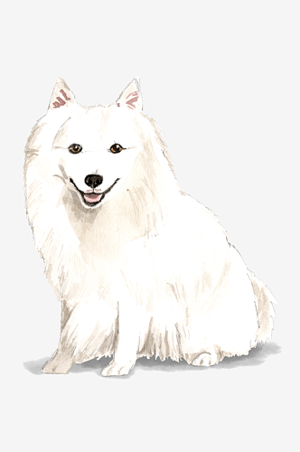卡通水彩可爱狗狗宠物动物元素PNG素材