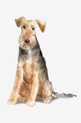 卡通水彩可爱狗狗宠物动物元素PNG