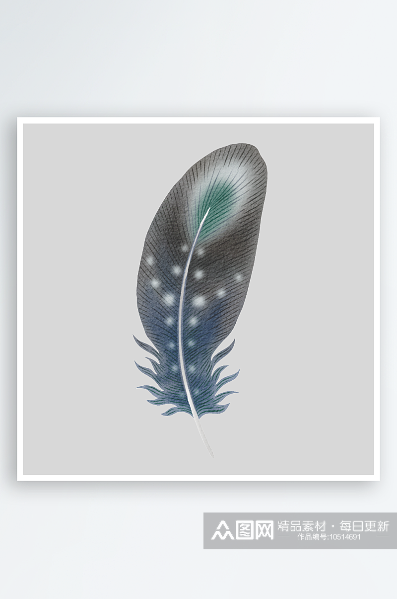 波西米亚乡村水彩优雅羽毛PNG免扣素材素材