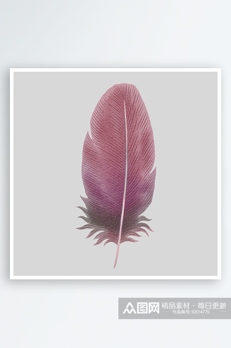波西米亚乡村水彩优雅羽毛孔雀毛PNG免素材