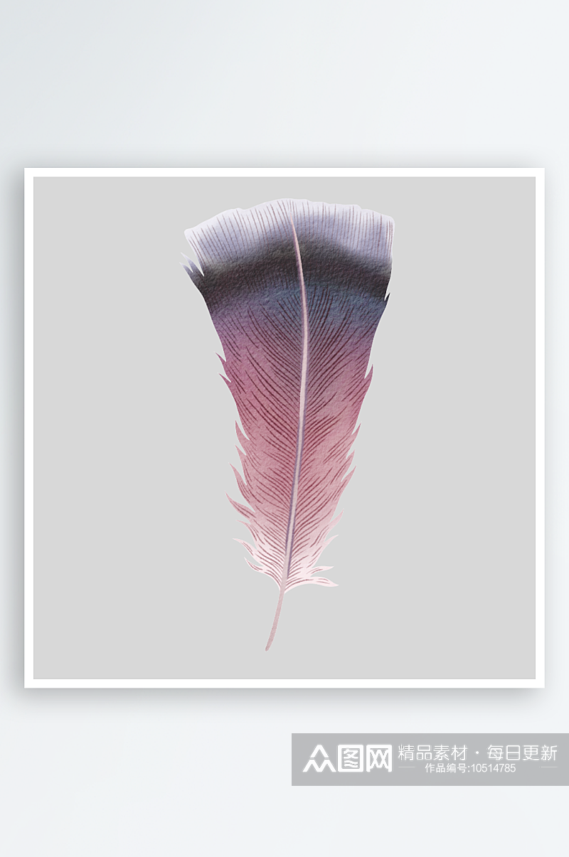 波西米亚乡村水彩优雅羽毛孔雀毛PNG免素材