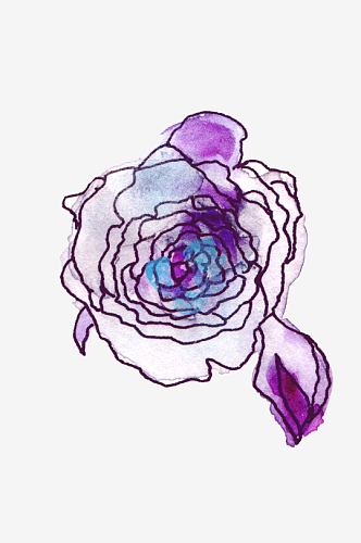 紫色玫瑰花叶子线条手绘插画PNG透明图片