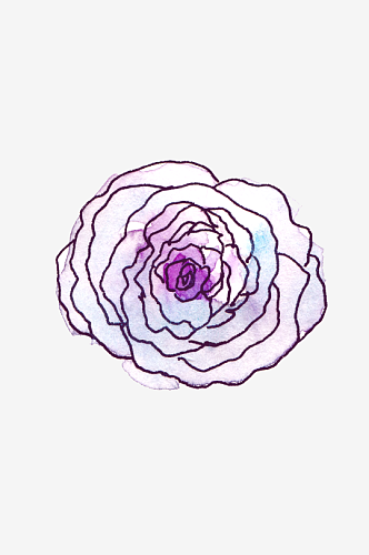 紫色玫瑰花叶子线条手绘插画PNG透明图片