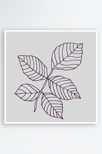 紫色玫瑰花叶子线条手绘插画PNG透明图