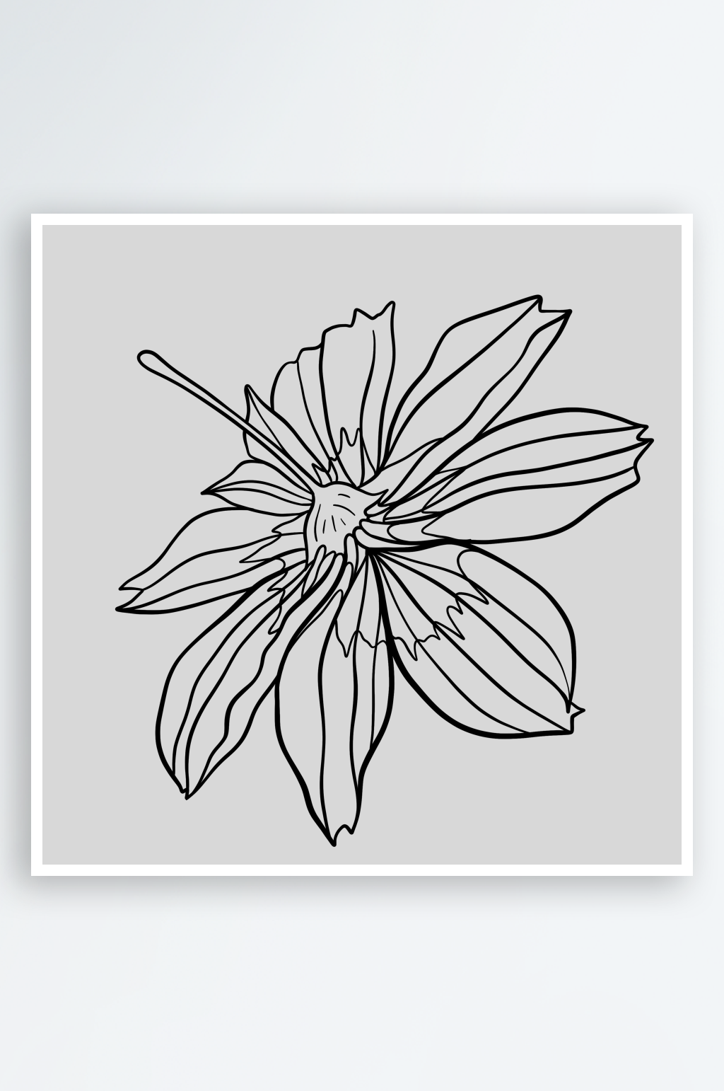 黑白线描植物花卉PNG免扣素材素材