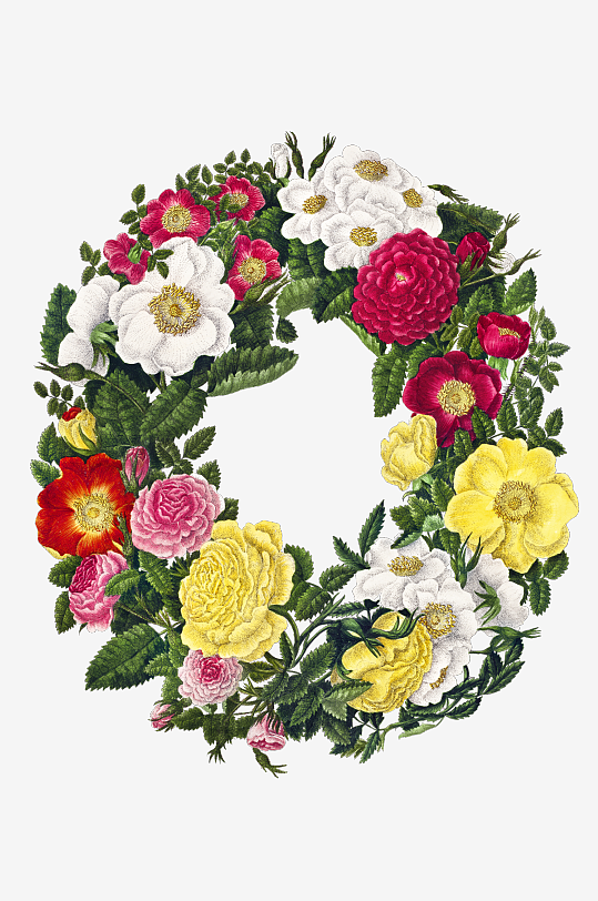 复古绿植物花卉插画PNG免扣素材