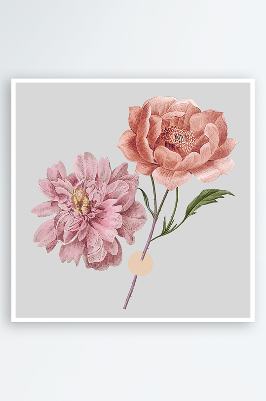 复古绿植物花卉插画PNG免扣素材
