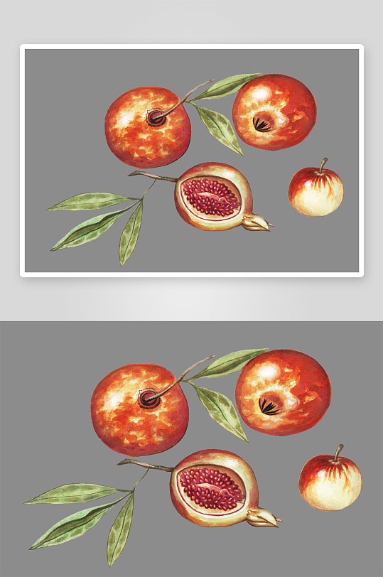 复古绿植物花卉插画PNG免扣素材