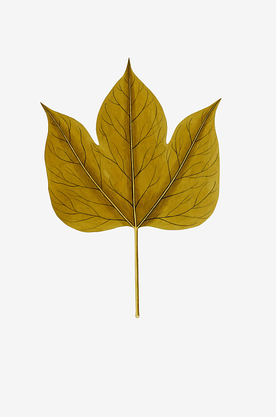 复古绿植物花卉插画PNG免扣素材