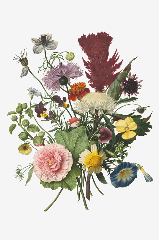 复古绿植物花卉插画PNG免扣素材