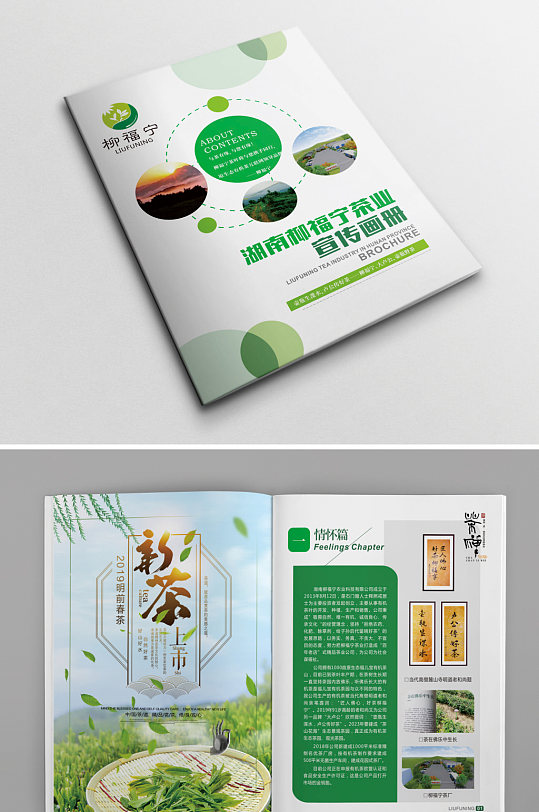 简约茶业公司宣传茶画册设计模板