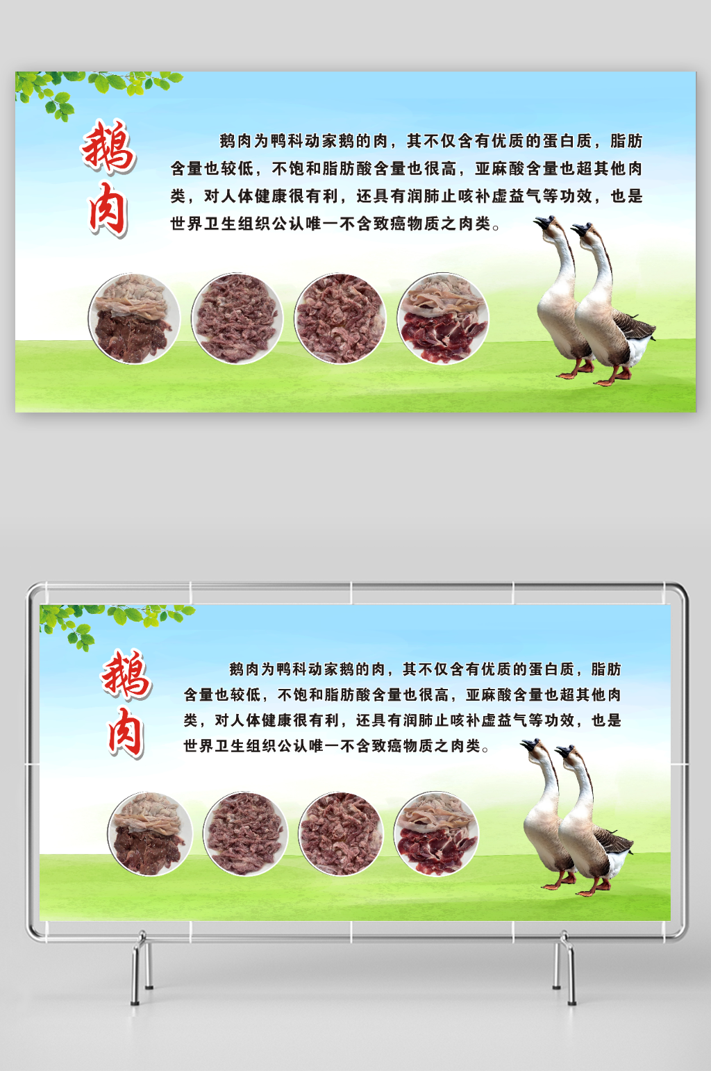 鹅肉的功效与作用素材