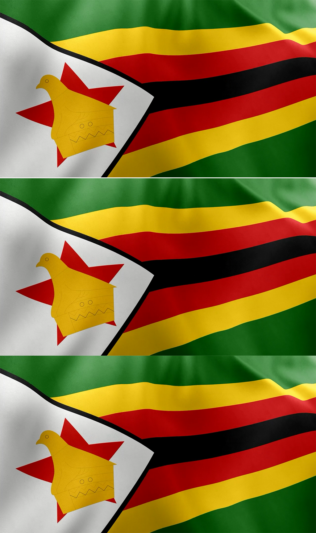 津巴布韦国旗在风中飘扬