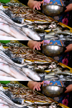 水产市场女售货员提供新鲜的鱼类