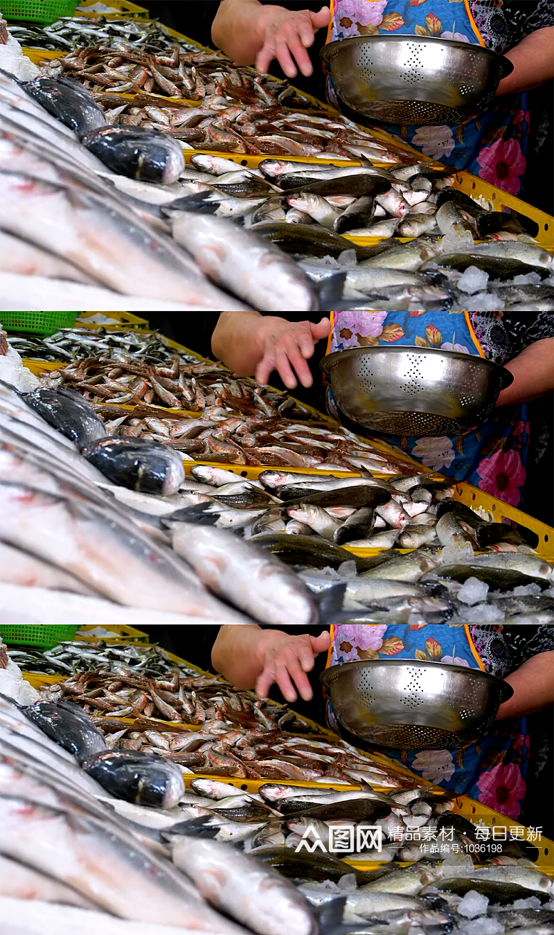 水产市场女售货员提供新鲜的鱼类素材