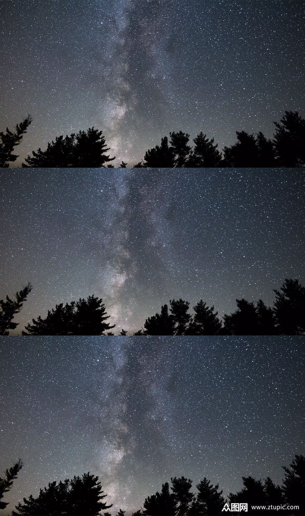 夜晚树林剪影下美丽的星空