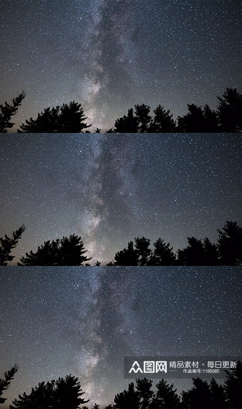 夜晚树林剪影下美丽的星空素材