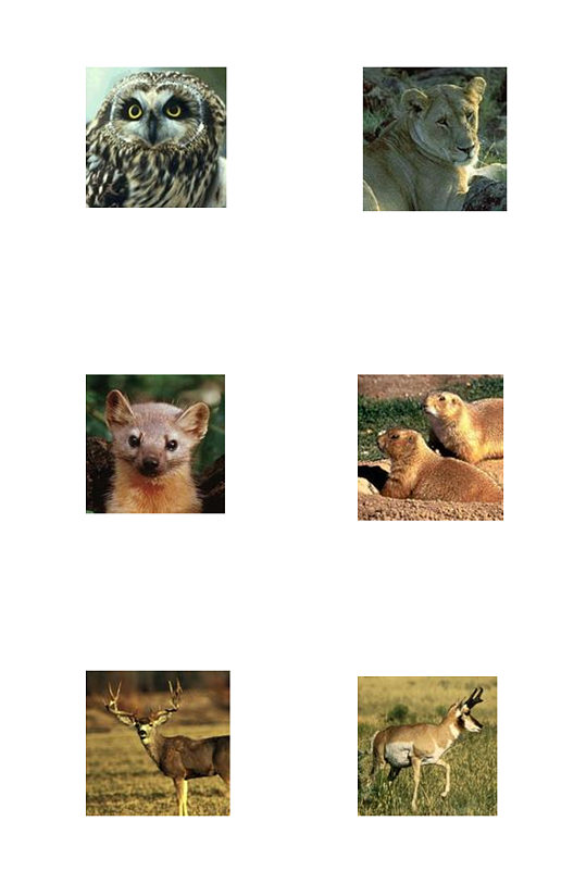 麋鹿猫头鹰野生动物图标PNG免抠素材