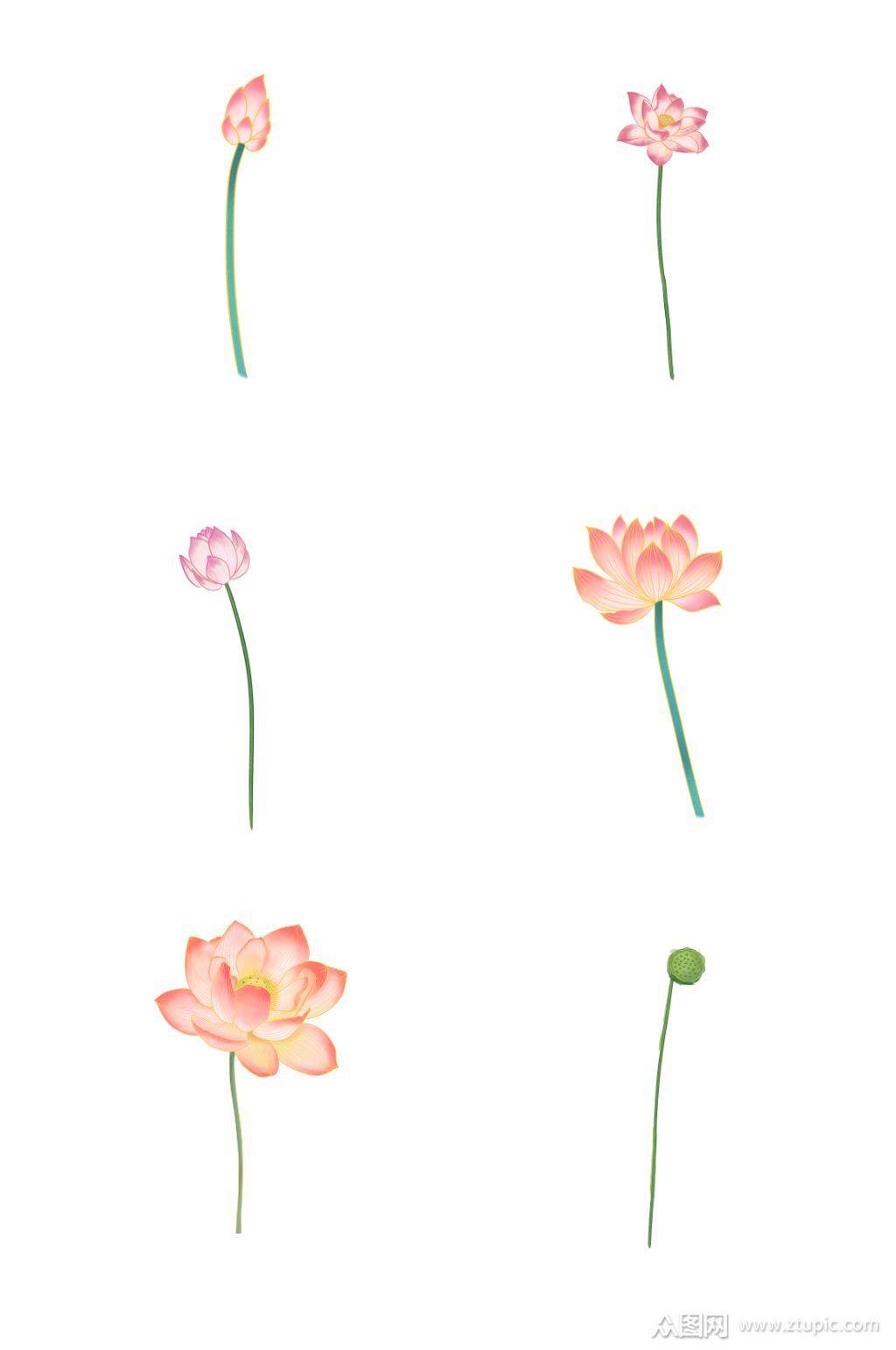 荷花绘画图片素材,荷花绘画图片铅笔画(第9页)_大山谷图库