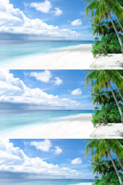 蓝天白云下大海边上的沙滩棕榈树视频素材