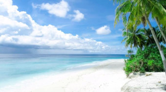 蓝天白云下大海边上的沙滩棕榈树视频素材-众图网