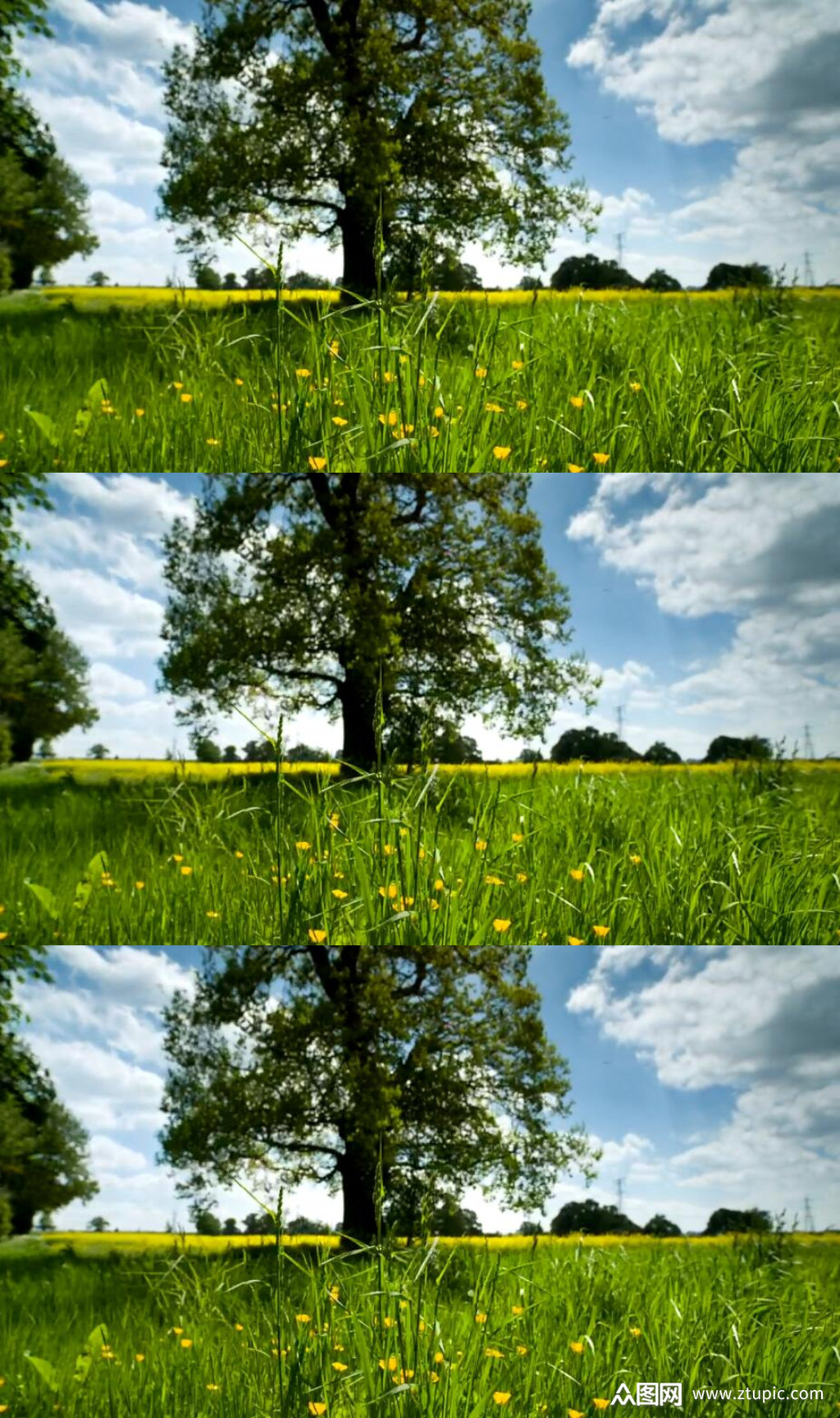 蓝天下美丽的乡间草地风景视频素材