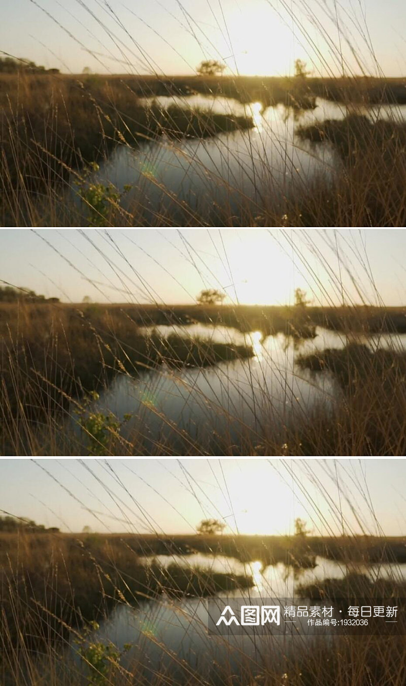 夕阳下草原上的湖泊美景视频素材素材