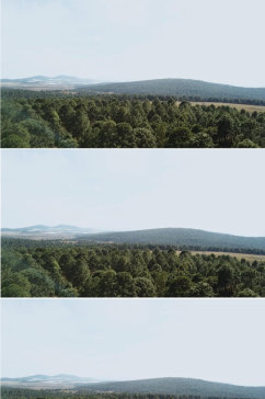 航拍蓝色天空下的原始森林景观视频素材