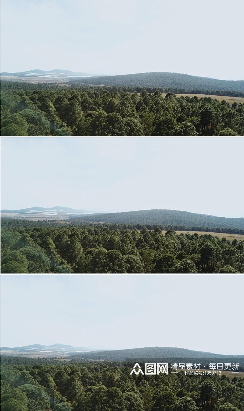 航拍蓝色天空下的原始森林景观视频素材素材