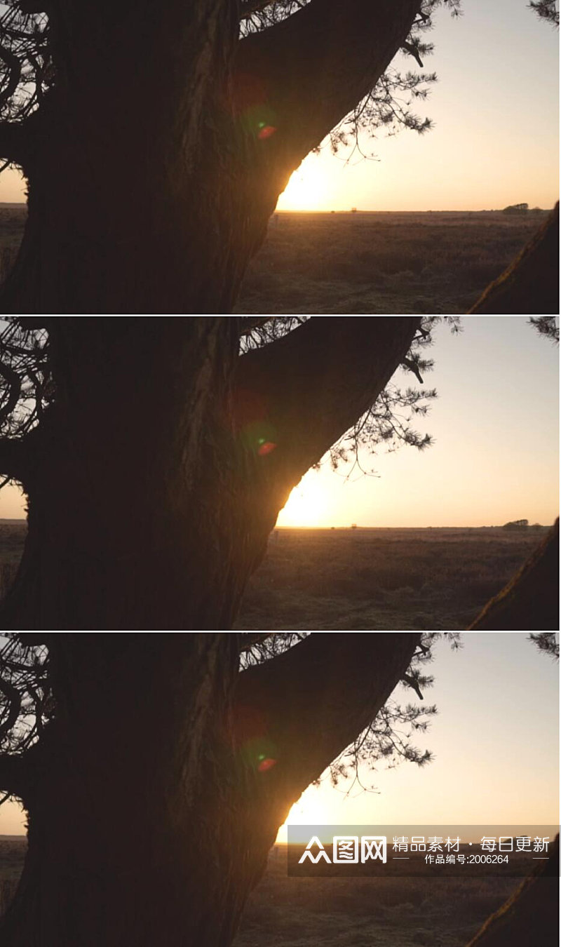 慢镜头实拍大草原上的夕阳日落美景视频素材素材