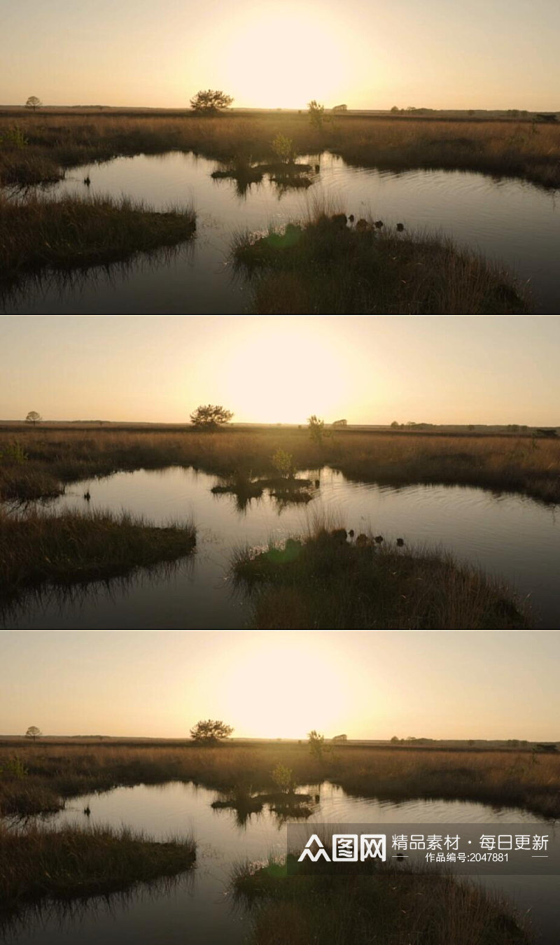 日落夕阳下大草原上地平线的湖泊实拍素材