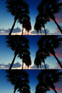 黄昏下穿过棕榈树的马路实拍