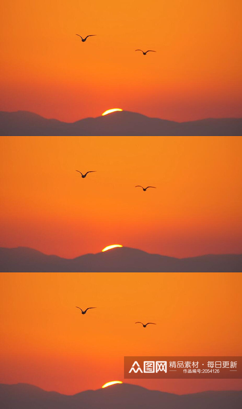 海鸥在夕阳日落下飞翔美景实拍素材