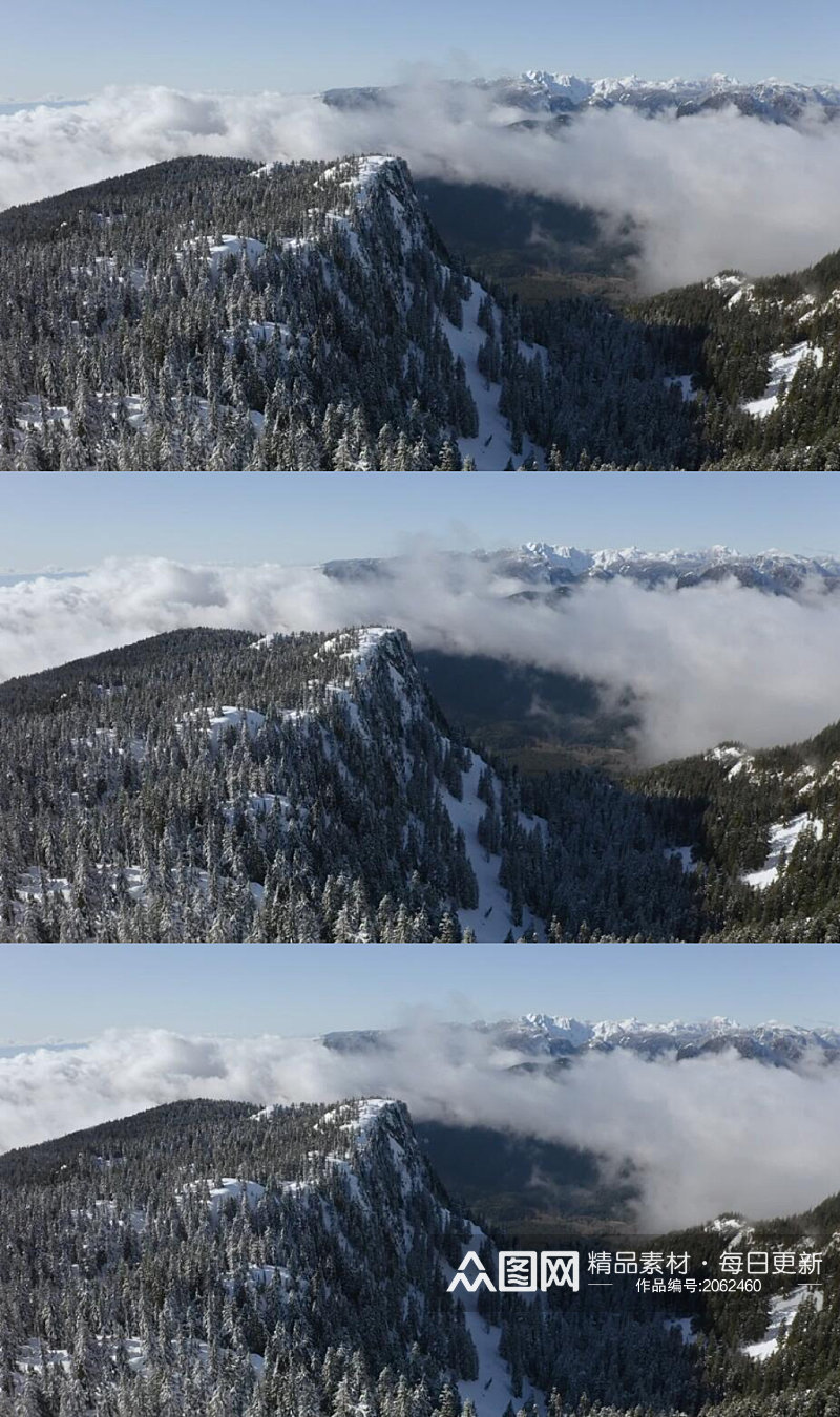 航拍加拿大雪山上的松树林美景实拍视频素材