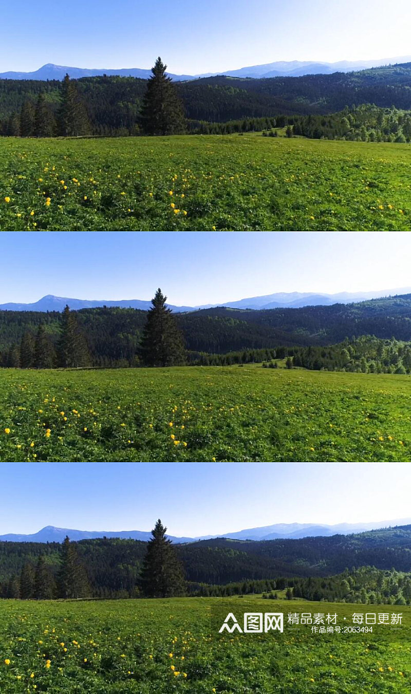 蓝天白云下的山脉森林绿树草地实拍视频素材